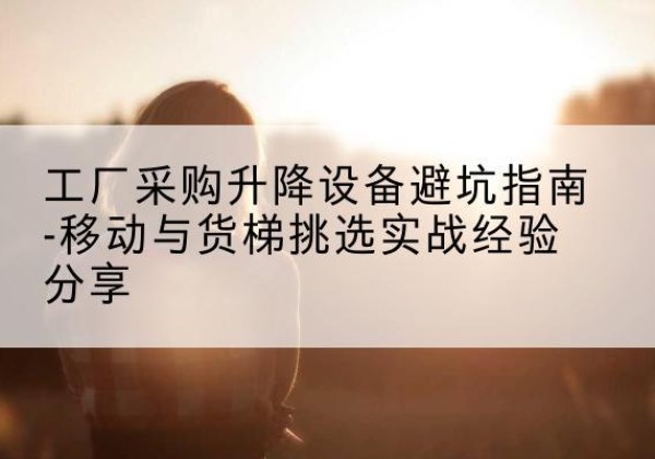 武清区移动式升降机怎么选-工厂采购升降设备避坑指南-移动与货梯挑选实战经验分享