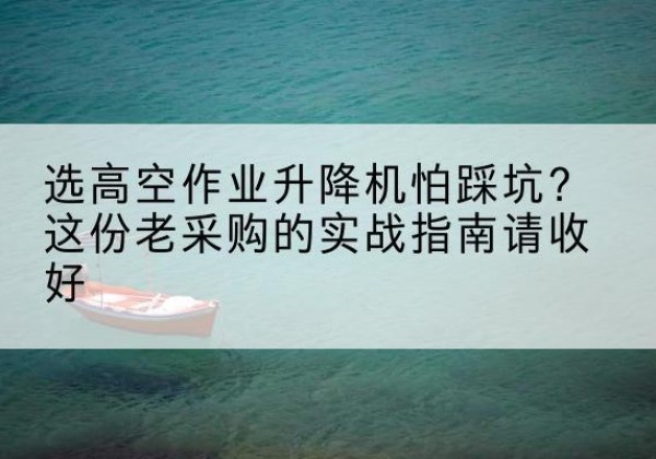 武清区高空作业升降机厂家推荐-选高空作业升降机怕踩坑？这份老采购的实战指南请收好