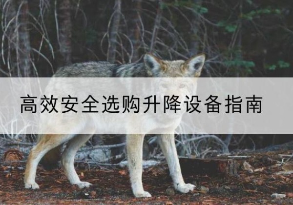 武清区升降货梯厂家推荐-*安全选购升降设备指南