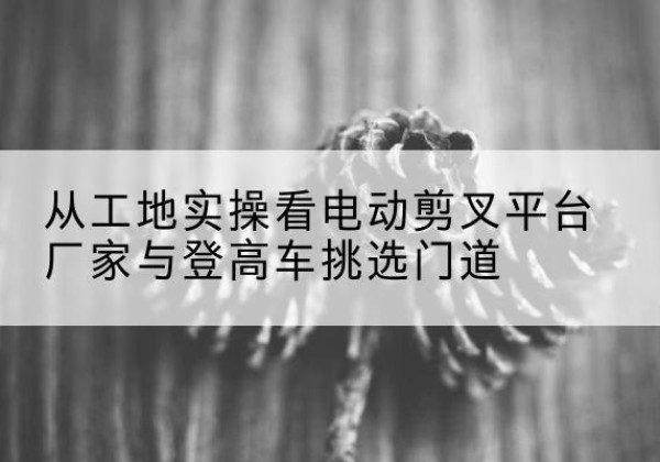 武清区电动剪叉升降平台厂家-从工地实操看电动剪叉平台厂家与登高车挑选门道