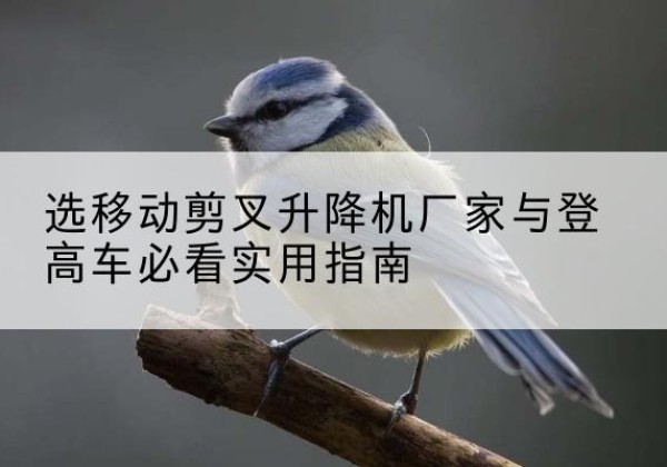 武清区电动升降机厂家-选移动剪叉升降机厂家与登高车必看实用指南
